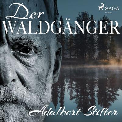 Der Waldgänger - Adalbert Stifter, Audio, 9788726495119