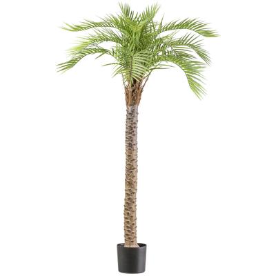 Kunstpalme CREATIV GREEN "Macauba Palme", grün, H:175cm, Kunststoff, Kunstpflanzen, mit hohem Stamm