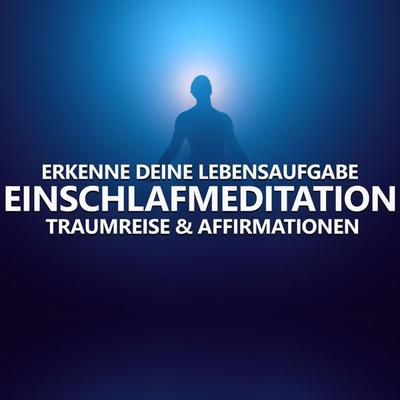 Erkenne deine Lebensaufgabe - Raphael Kempermann, Audio, 4061707934155