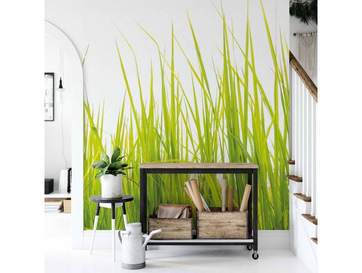 Papier peint High Grass 192cm