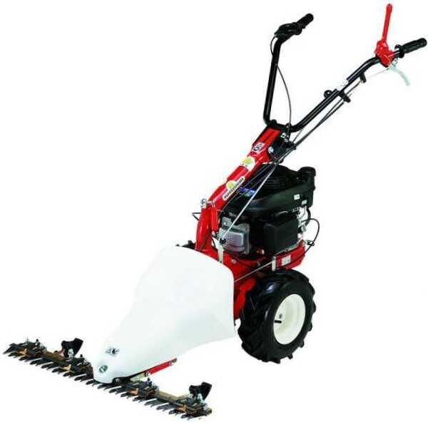 Eurosystems M210 - Motofalciatrice bilama - B&S 625