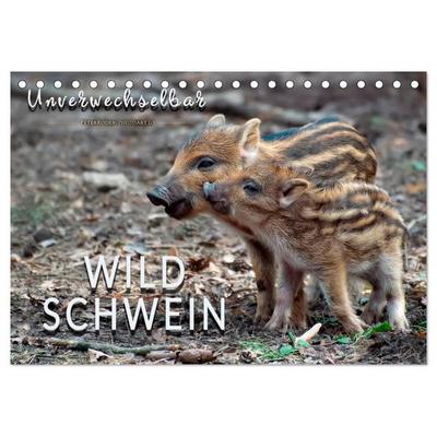 Unverwechselbar - Wildschwein (Tischkalender 2027 DIN A5 quer), CALVENDO Monatskalender