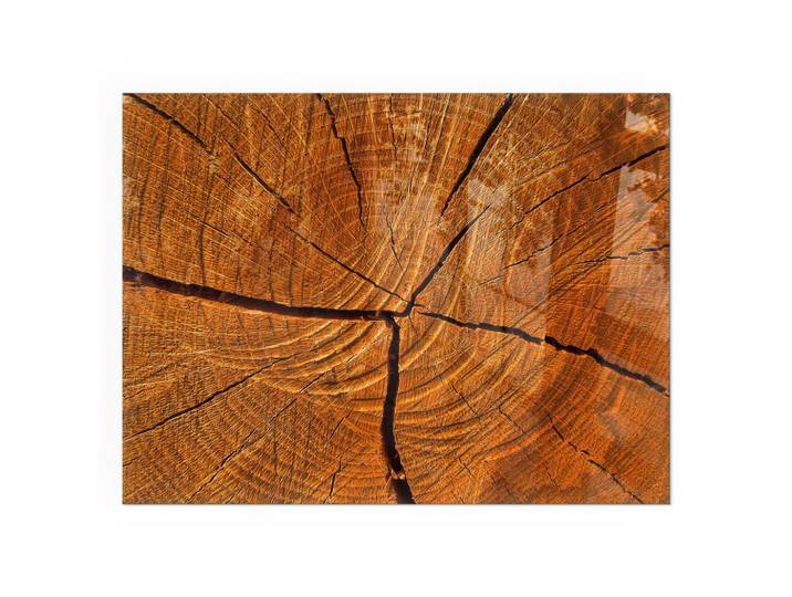 KAMINBODENPLATTE 80x60 cm - Holzmaserung im Querschnitt