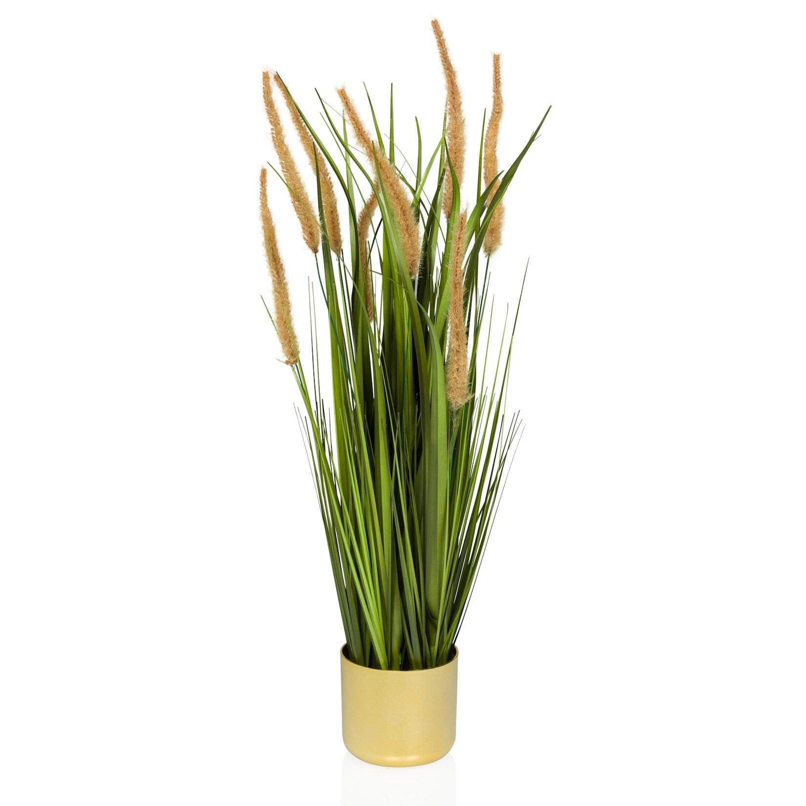 hjh OFFICE Kunstpflanze CORTADERIA I Kunststoff