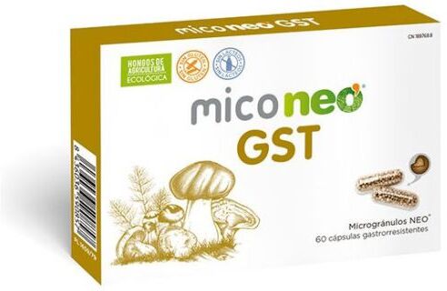 Neovital Health Mico Neo Gst 60 Capsules