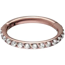Titan Segmentring Clicker EINGEFASSTE KRISTALLE