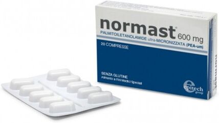 Epitech Normast 600mg 20cpr