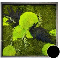 designline »Moos« Wald und Wiese Moosbild 39x39 cm Rahmen schwarz
