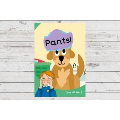 Dyna Chi Dric: Pants, Taschenbuch von Aneirin Karadog,Eirian Lloyd Jones, Canolfan Peniarth, 978-1-78390-453-2