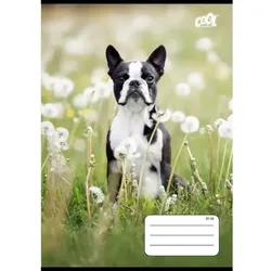 Cool by Victoria: Schwarz-weißes Hundekaro, A5 – Verschiedene Designs
