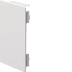 Hager Endstück halogenfrei zu Leitungsführungskanal LF/LFH 60x110 mm verkehrswei