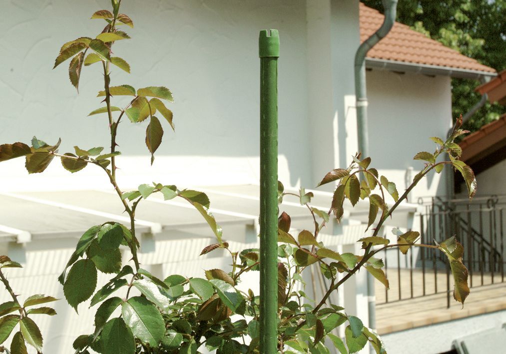 Floraworld Stahlrohr-Pflanzstab grün 270 cm