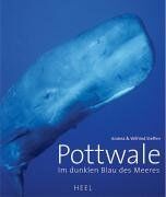 Andrea Steffen - Pottwale: Im dunklen Blau des Meeres - Preis vom 17.10.2026 19:25:27 h