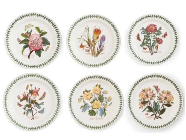 Portmeirion Botanic Garden 6er-Set Salatteller, 20 cm, Rund, Jubiläumsdesign