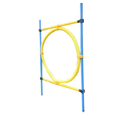 Pawhut Set di Addestramento per Cani con Anello, Recinto e Pali Giochi   Aosom Italy
