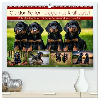 Gordon Setter - elegantes Kraftpaket (hochwertiger Premium Wandkalender 2027 DIN A2 quer), Kunstdruck in Hochglanz
