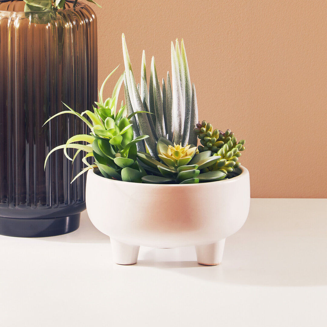 The Seasonal Aisle 24cm Faux Succulent in Ceramic Pot Green 24cm H X 20cm W X 20cm D