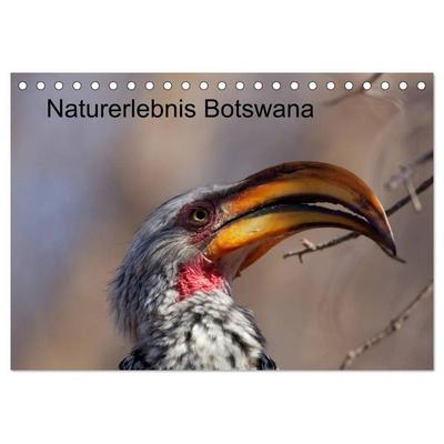 Naturerlebnis Botswana (Tischkalender 2027 DIN A5 quer), CALVENDO Monatskalender