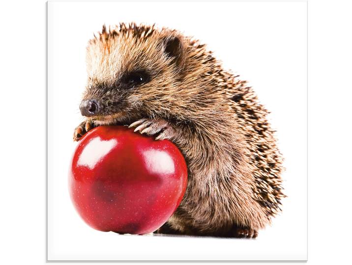 Glasbild ARTLAND Glücklicher Igel , weiss (farbe bild(er): weiß), B:50cm H:50cm, Bilder, Glasbild, in verschiedenen Grössen