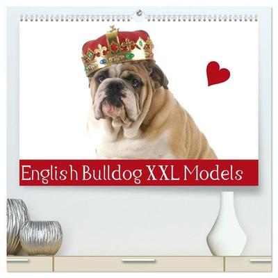 English Bulldog XXL Models (hochwertiger Premium Wandkalender 2027 DIN A2 quer), Kunstdruck in Hochglanz
