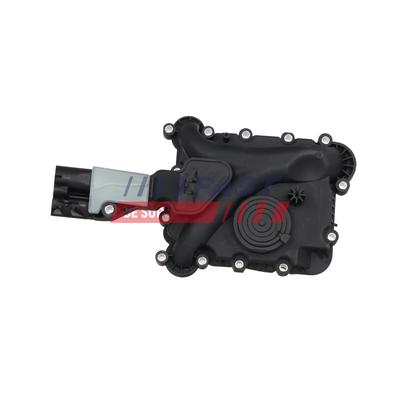 FAST Ventil, Kurbelgehäuseentlüftung FT04396 Motorblock für VW
