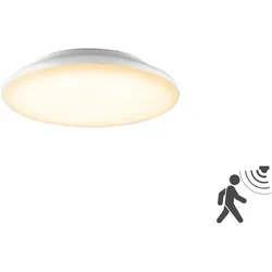 EVN LED Anbauleuchte mit Bewegungsmelder L25120125BM