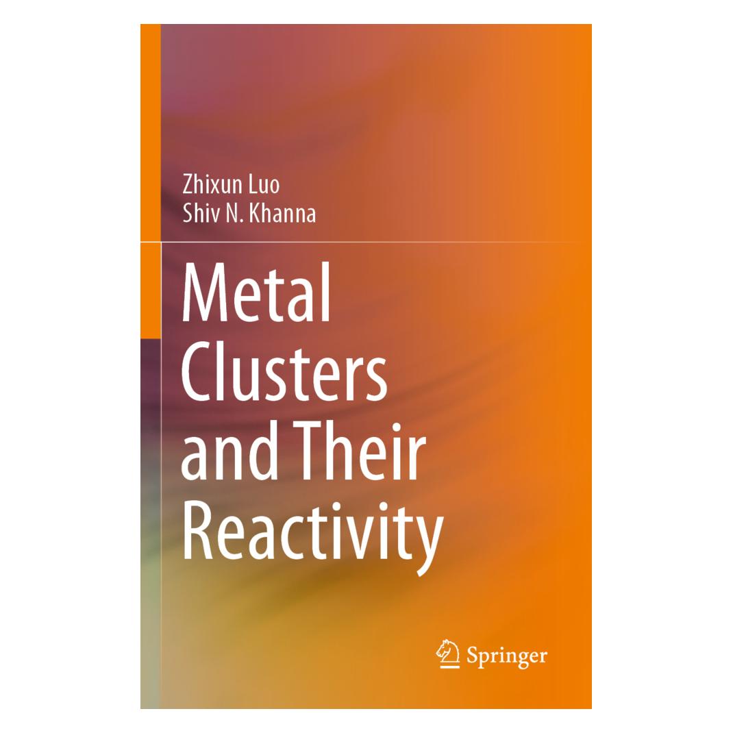 Springer Metal Clusters and Their Reactivity (Englisch, Softcover, Shiv N Khanna, Zhixun Luo) (56216305)