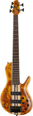 Cort A5 Plus SC Amber Open Pore Amber