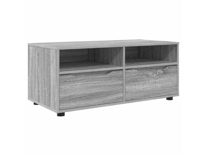 Roanoer TV-Schrank Graues Sonoma 100x48x43 cm Holzwerkstoff Lowboard Vielseitiges Fernsehmöbel für Wohnzimmer und Schlafzimmer mit Schublade und Regalen für ordentliche Aufbewahrung.
