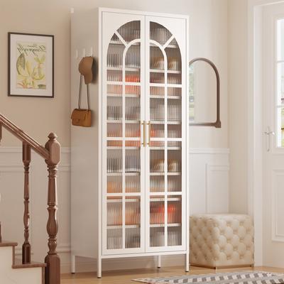 Lucky Monet Steel Shoe Cabinet with Acrylic Doors, Adjustable Shelves