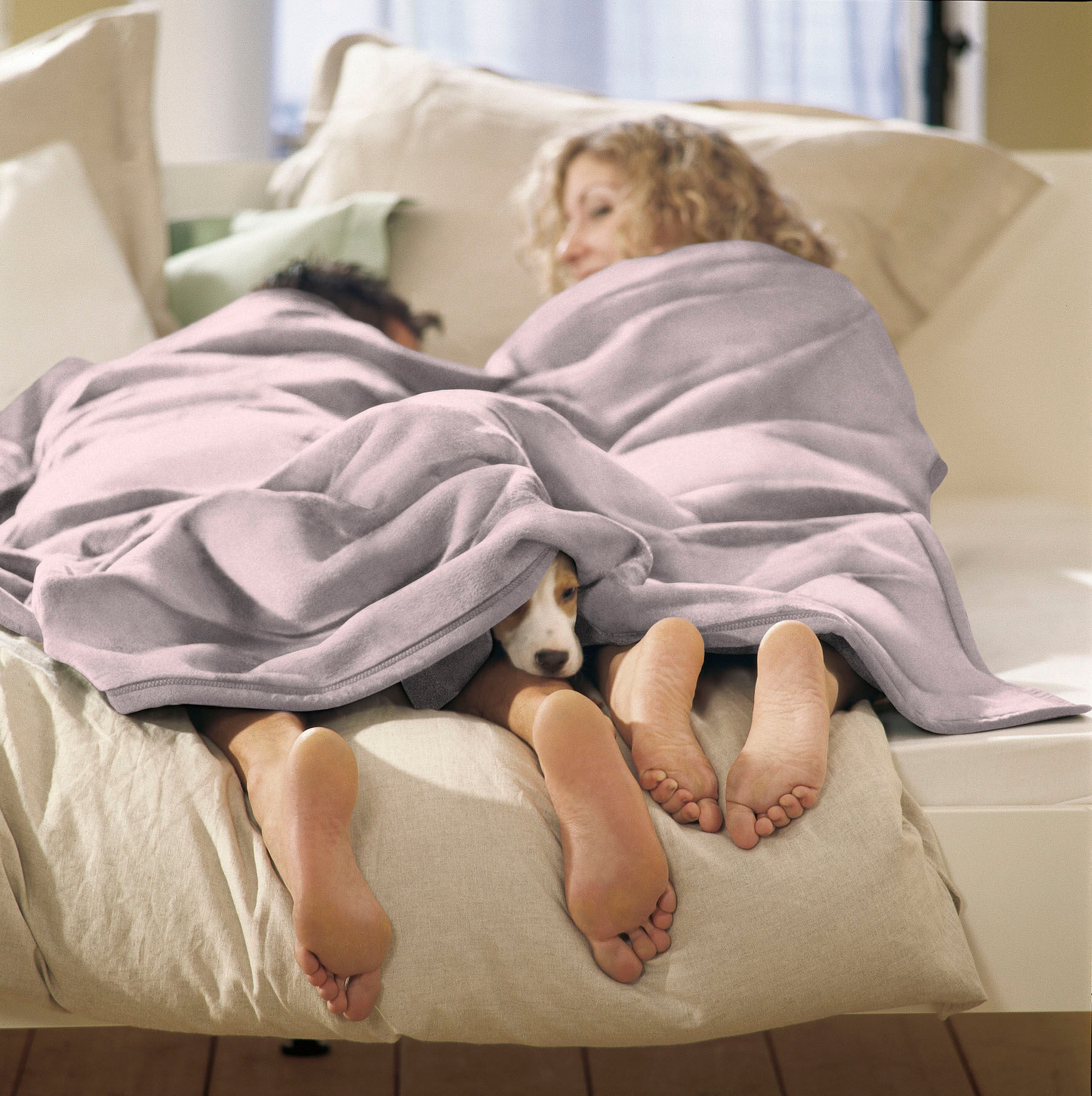 Wohndecke BIEDERLACK "Cotton Home, Kuscheldecke", beige (lotus), B:150cm L:220cm, Baumwolle, Polyacryl, Wohndecken, Wohndecke, im Uni Design, Kuscheldecke