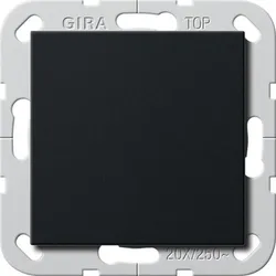 Gira Wippschalter 2836005
