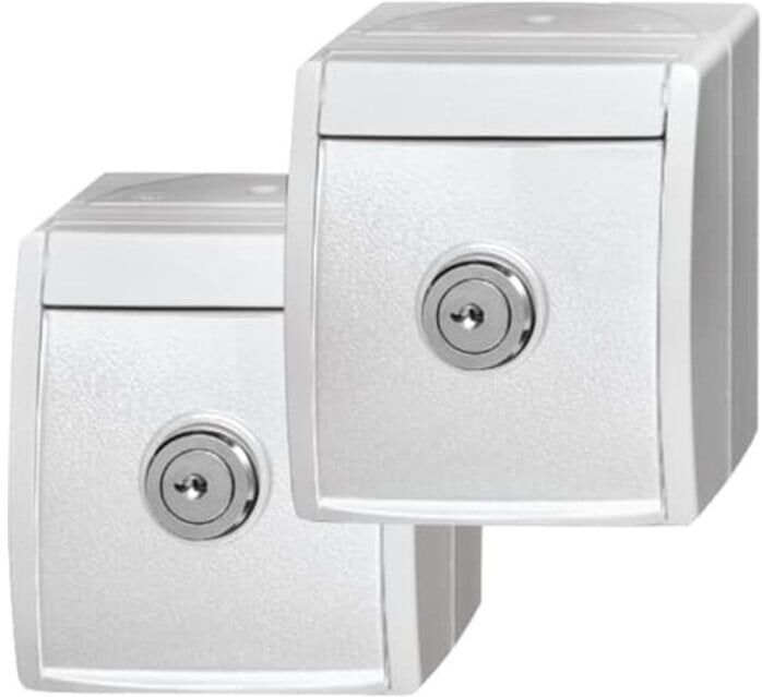 Busch-Jaeger Steckdose aufputz 20/20 EWSL-54 (2CKA002083A0836)