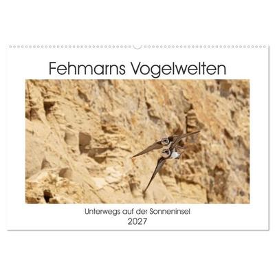 Fehmarn Vogelwelten (Wandkalender 2027 DIN A2 quer), CALVENDO Monatskalender