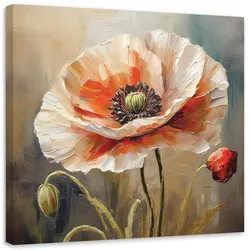 WANDBILD mohnblume natur
