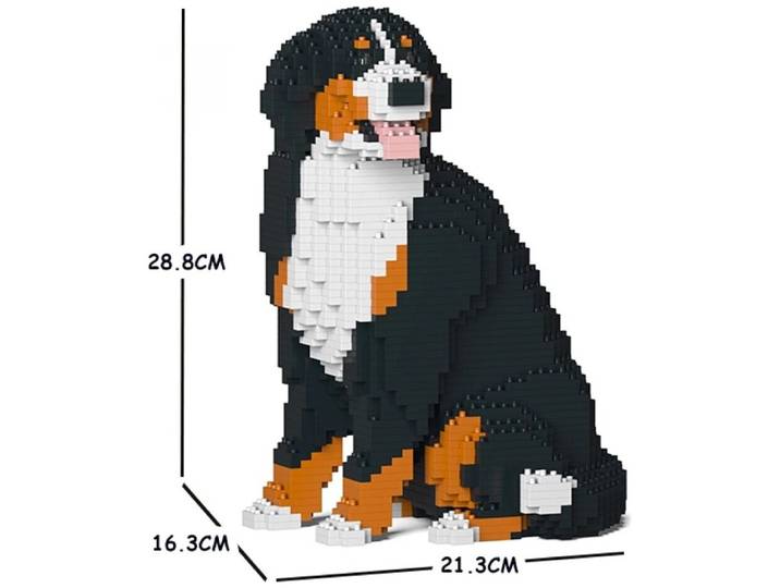 Jekca Berner Sennenhund