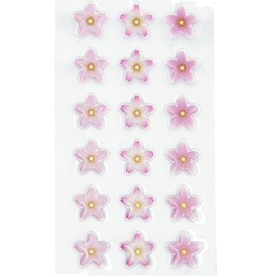 Gelsticker Kirschblüten