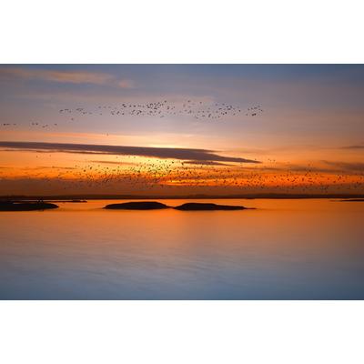 Fototapete PAPERMOON "Photo-Art RAYMOND HOFFMANN, FJORDE NACHT LICHTER", bunt, B:4,5m L:2,8m, Vlies, Tapeten