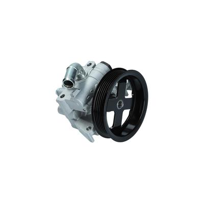 KAMOKA Hydraulikpumpe, Lenkung PP113 für Ford
