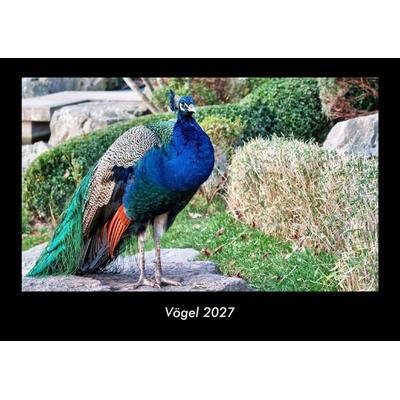 Vögel 2027 Fotokalender DIN A3