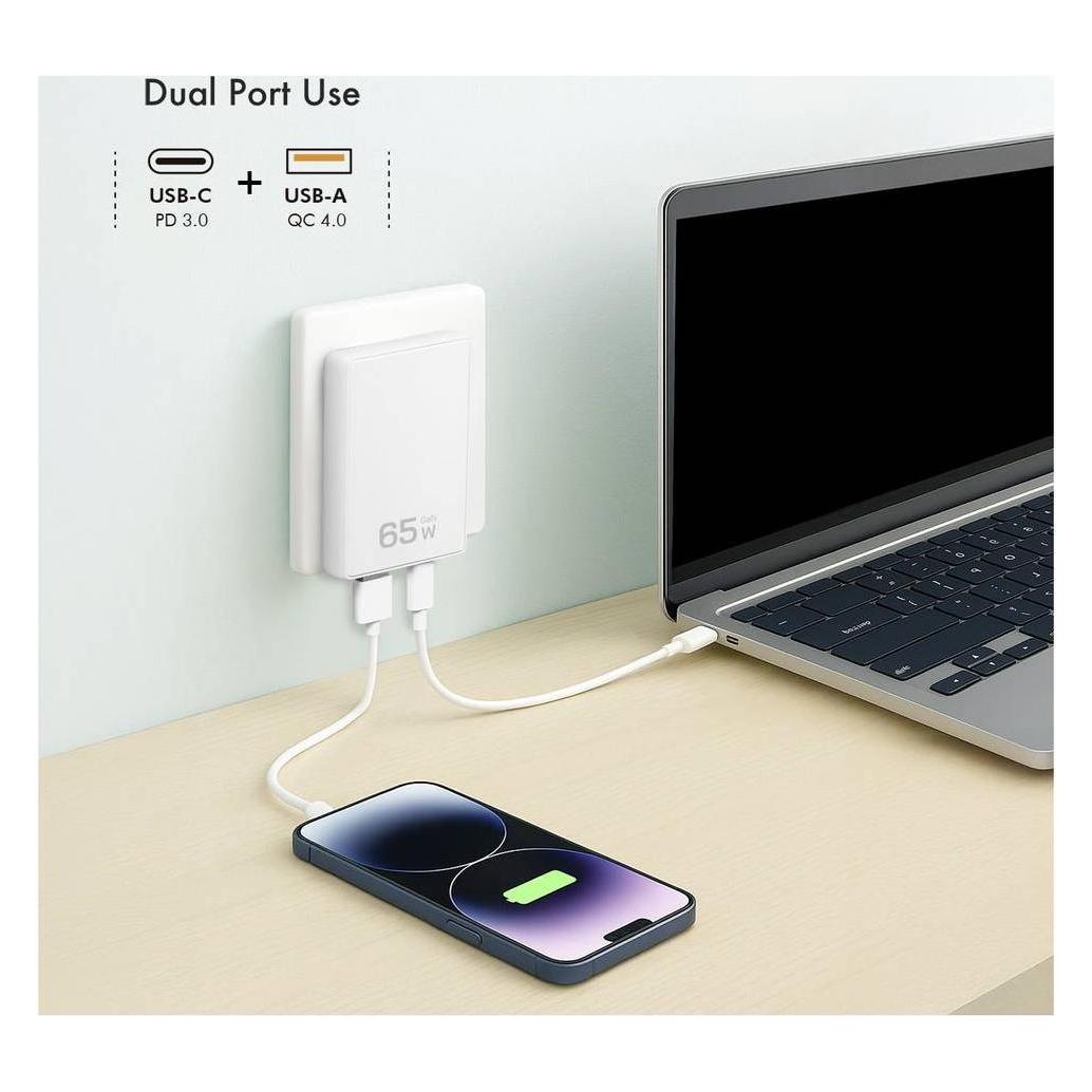 LogiLink PA0368 (65 W, 2 Ports) (PA0368)