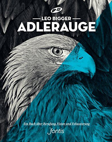 Leo Bigger - Adlerauge: Ein Buch über Berufung, Vision und Fokussierung - Preis vom 02.10.2026 23:42:20 h