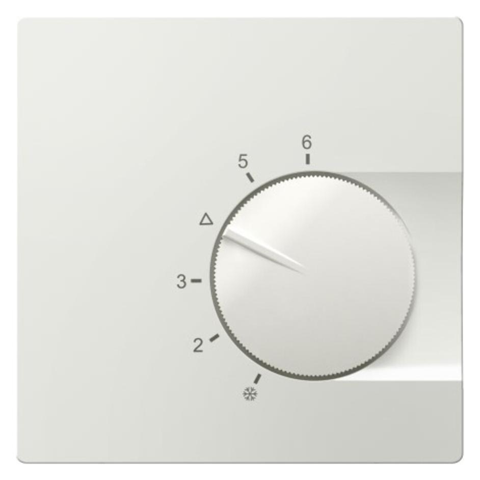 Eberle Controls Raumthermostat UP (191810358502)