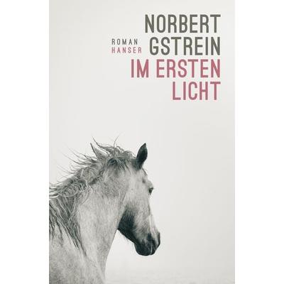 Im ersten Licht, Gebundene Ausgabe von Norbert Gstrein, Carl Hanser, 978-3-446-28297-1
