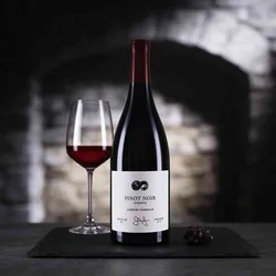 Weingut Albrecht Schwegler 2019 Albrecht Schwegler Pinot Noir 209 Pinot Noir Deutschland