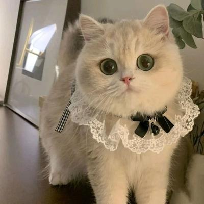 Uplift Essentials Princess Style Silk & Lace Wedding Ribbon Collar style 2