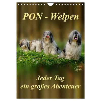 PON-Welpen - jeder Tag ein großes Abenteuer / Planer (Wandkalender 2027 DIN A4 hoch), CALVENDO Monatskalender