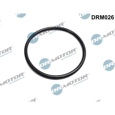 DR.MOTOR AUTOMOTIVE Dichtung, Drosselklappenstutzen drm026 Ausgang für RENAULT NISSAN
