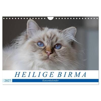 Heilige Birma Katzenkalender (Wandkalender 2027 DIN A4 quer), CALVENDO Monatskalender