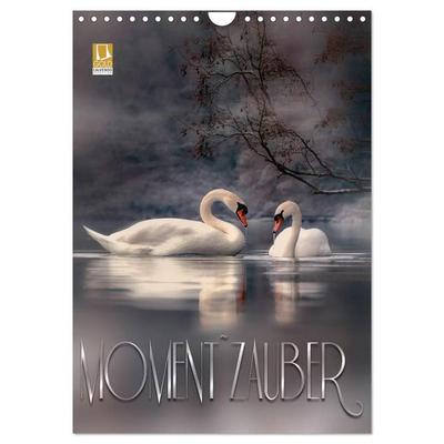 Moment Zauber (Wandkalender 2027 DIN A4 hoch), CALVENDO Monatskalender